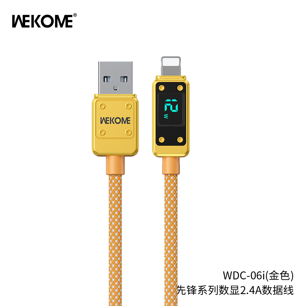 Cáp iP Wekome WDC-06i