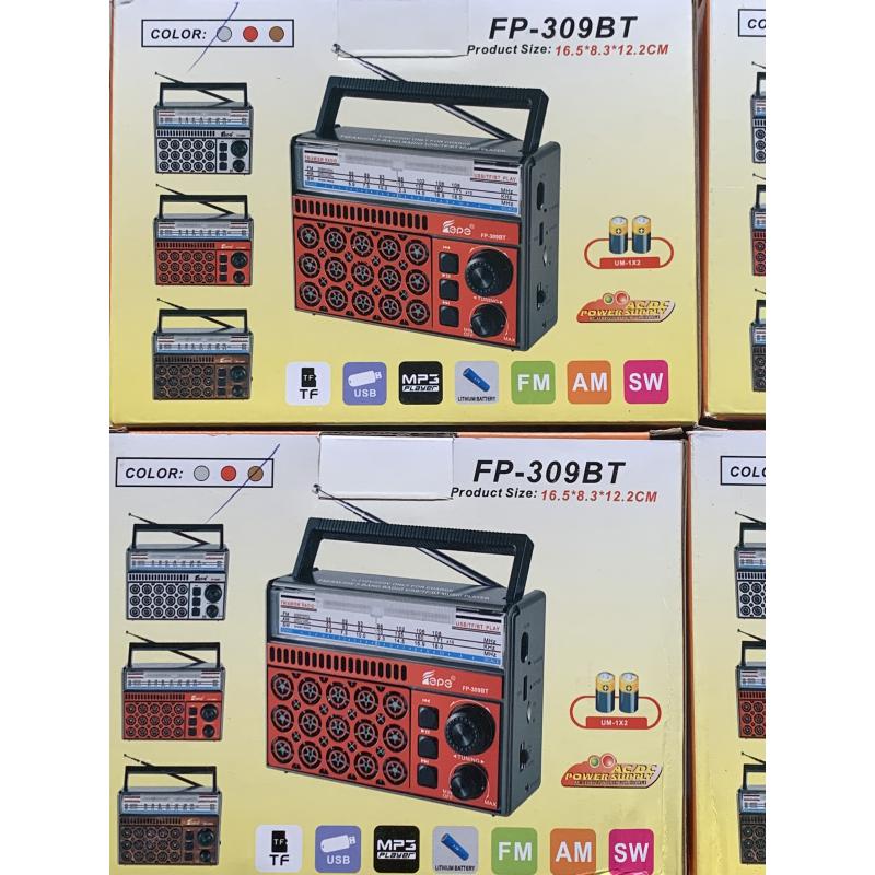 Đài FM Radio Bluetooth FP-309BT