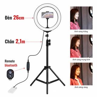Combo Giá Đỡ Quay Video Chụp Ảnh Gậy Live 2.1m + Remote Bluetooth + Bi Sắt + Đèn 26CM