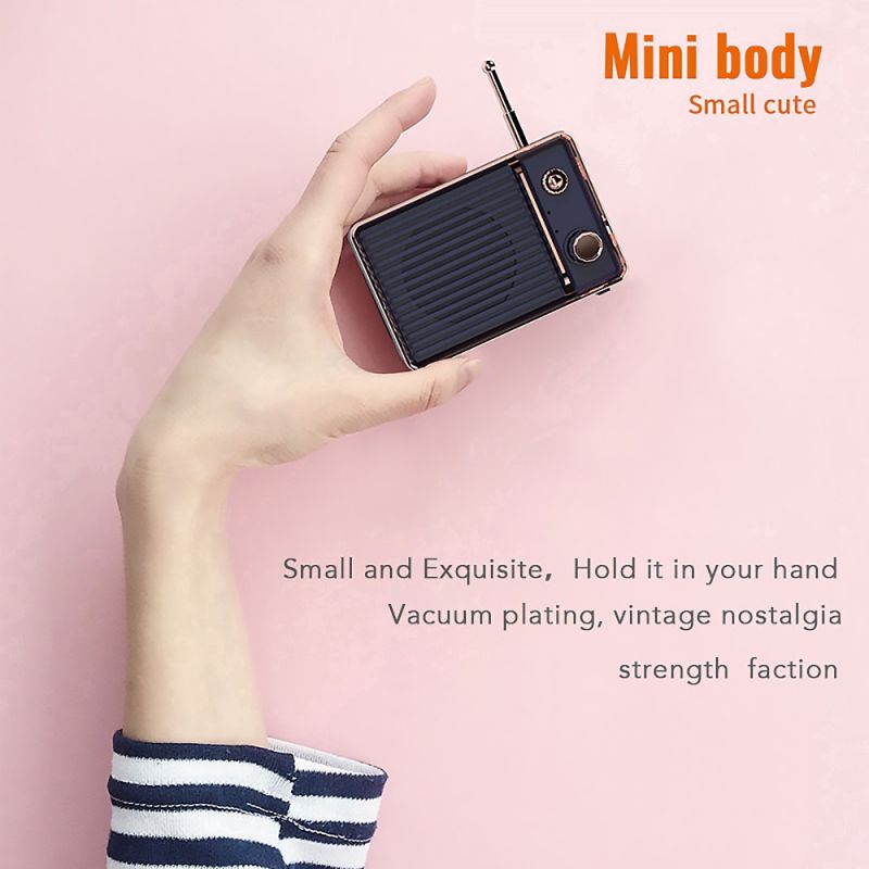 Loa bluetooth DW01